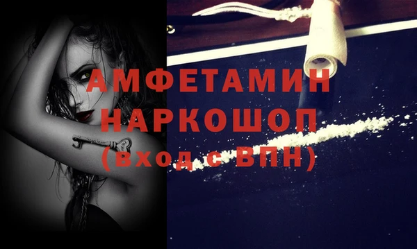 сатива Шадринск
