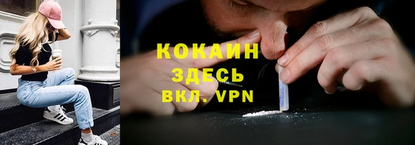 сатива Шадринск