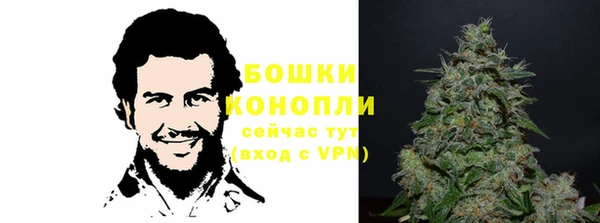 сатива Шадринск