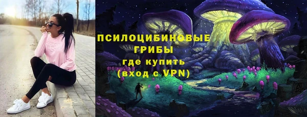 сатива Шадринск