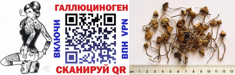 Псилоцибиновые грибы ЛСД  сколько стоит  сайты даркнета Telegram  Барнаул 