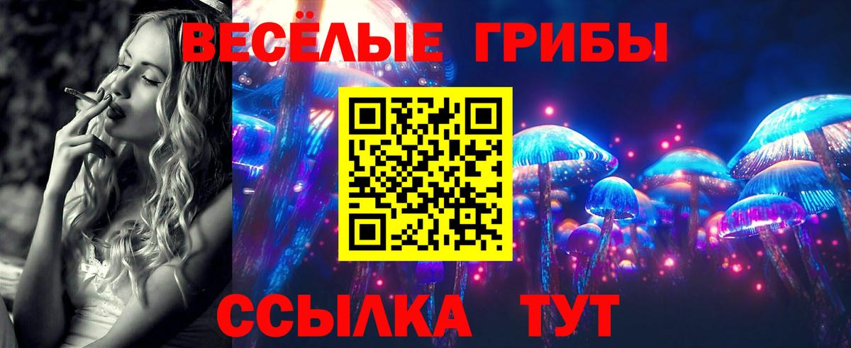 Псилоцибиновые грибы Psilocybine cubensis Барнаул