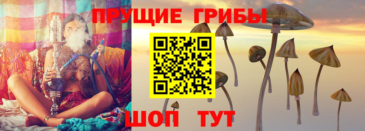 Псилоцибиновые грибы Psilocybe  Вход с VPN  Барнаул  Псилоцибиновые грибы Cubensis 
