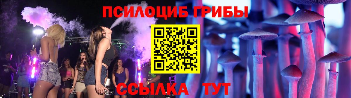 Галлюциногенные грибы Psilocybine cubensis Барнаул